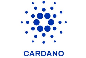 XMでのエイダイメージ