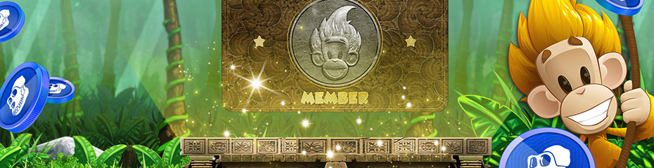 XMでのエイプコイン(APE/USD)取引まとめイメージ