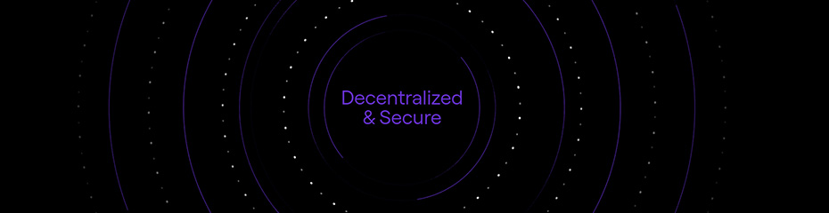 MultiversX(EGLD/USD)イメージ