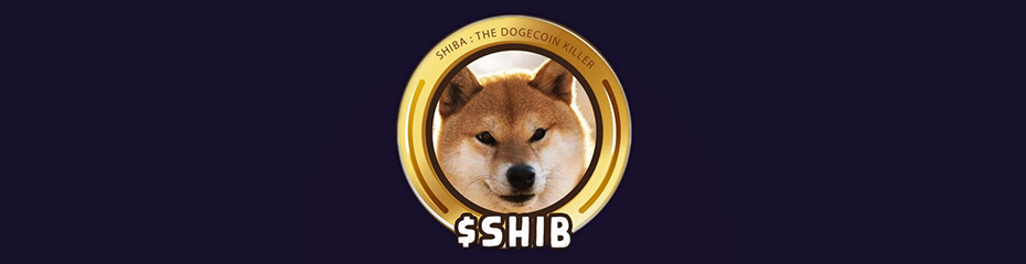 XMでのシバイヌ(SHIB/USD)取引まとめイメージ
