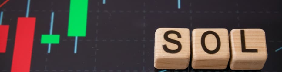 ソラナ(SOL/USD)将来性イメージ