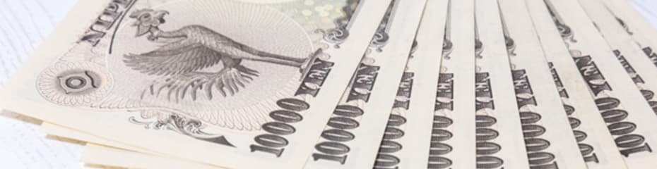 紙幣-動物イメージ