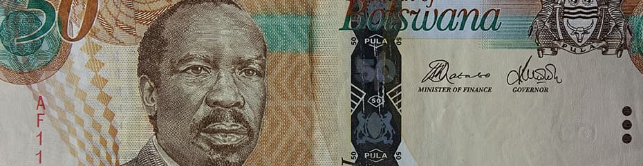 ボツワナプライメージ