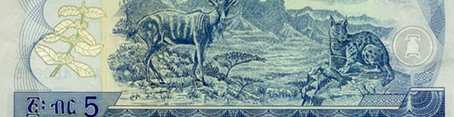 エチオピアブルイメージ