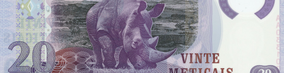 モザンビークメティカルイメージ