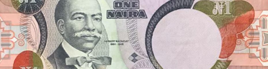 ナイジェリアナイライメージ