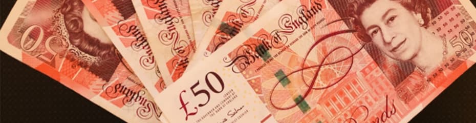 紙幣-動物世界初の基軸通貨ポンドイメージ