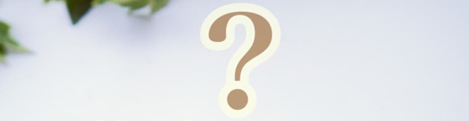 日経225(jp225cash)とはイメージ