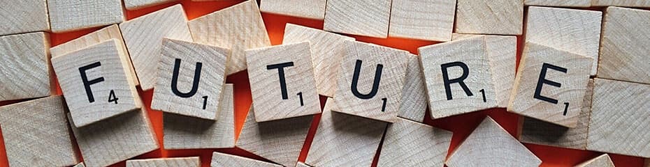 パラジウム将来イメージ