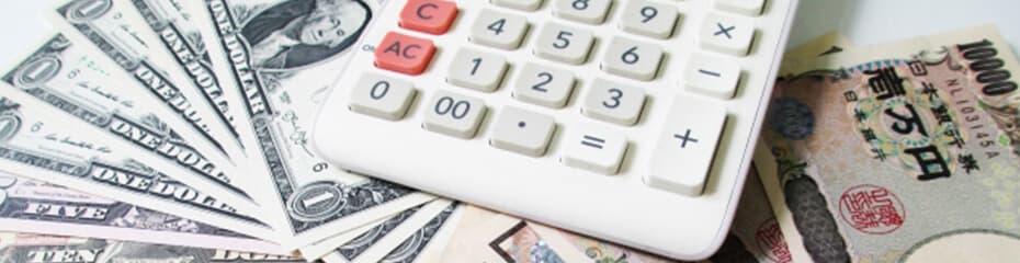 PIPS計算イメージ