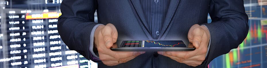 リスク分散投資向きイメージ