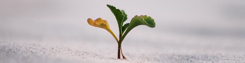 十分な利益イメージ