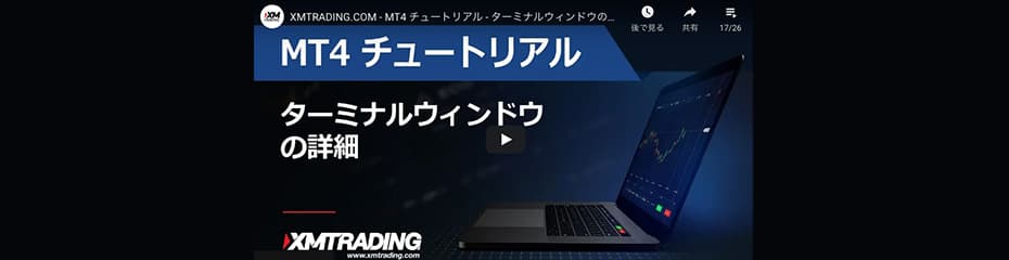 MT4ターミナルのビデオイメージ