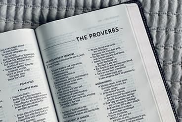 世界のことわざ・諺イメージ